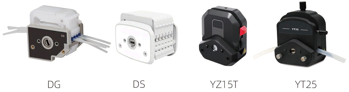 1749462354109899.jpg head.jpg